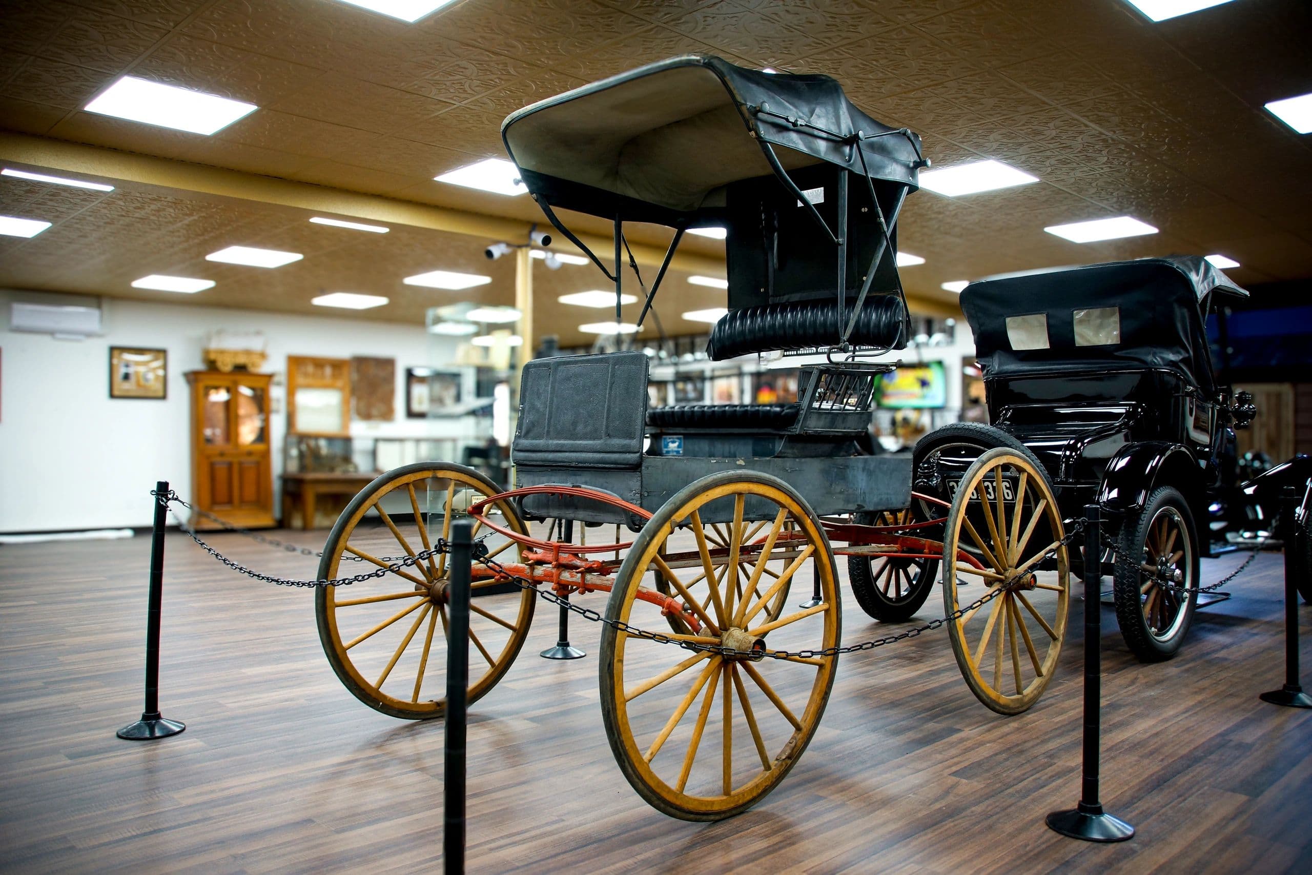 From Horses to Horsepower